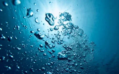 La molecola dell’acqua: che cosa contiene l’acqua?